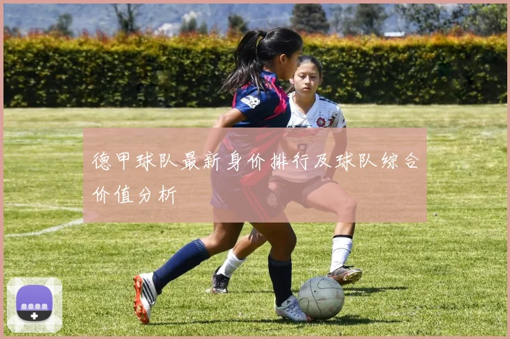 德甲球队最新身价排行及球队综合价值分析